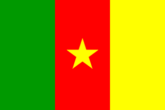 Drapeau Cameroun